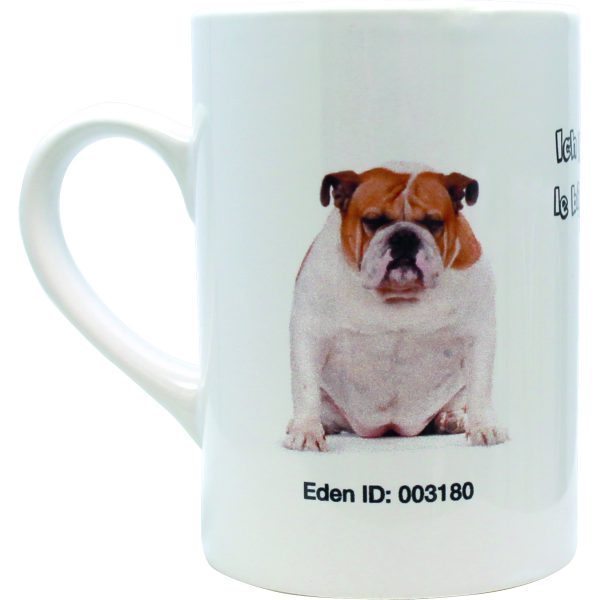 EDEN, mug en sublimation, 250 ml