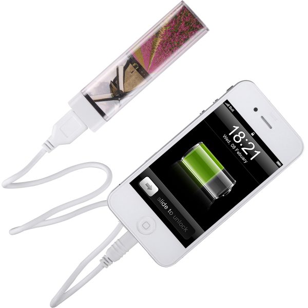 PICTURE-charger, chargeur 2200 mAh